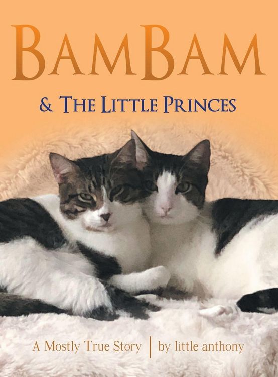 Produktbild: Bambam & the Little Princes