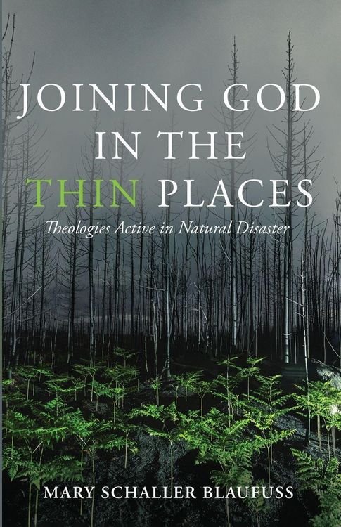 Produktbild: Joining God in the Thin Places