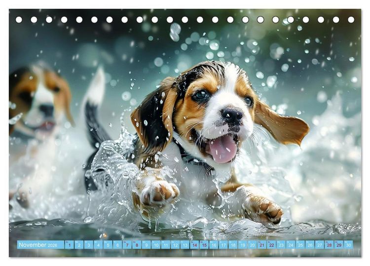 Produktbild: Hunde und Wasser (Tischkalender 2026 DIN A5 quer), CALVENDO Monatskalender