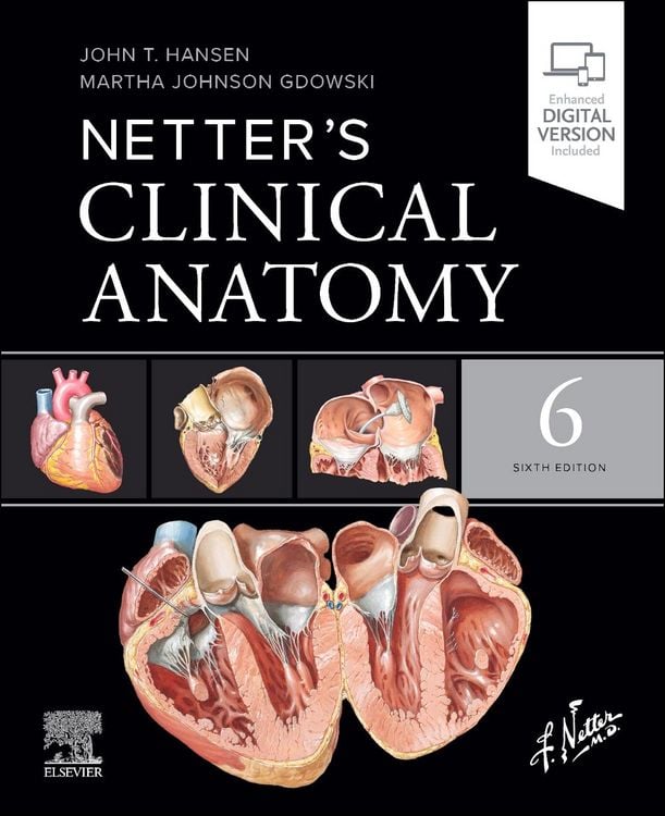 Produktbild: Netter's Clinical Anatomy
