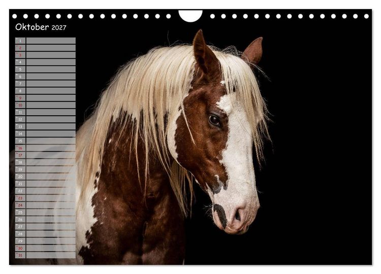 Produktbild: Pferde - Spiegel deiner Seele (Wandkalender 2027 DIN A4 quer), CALVENDO Monatskalender
