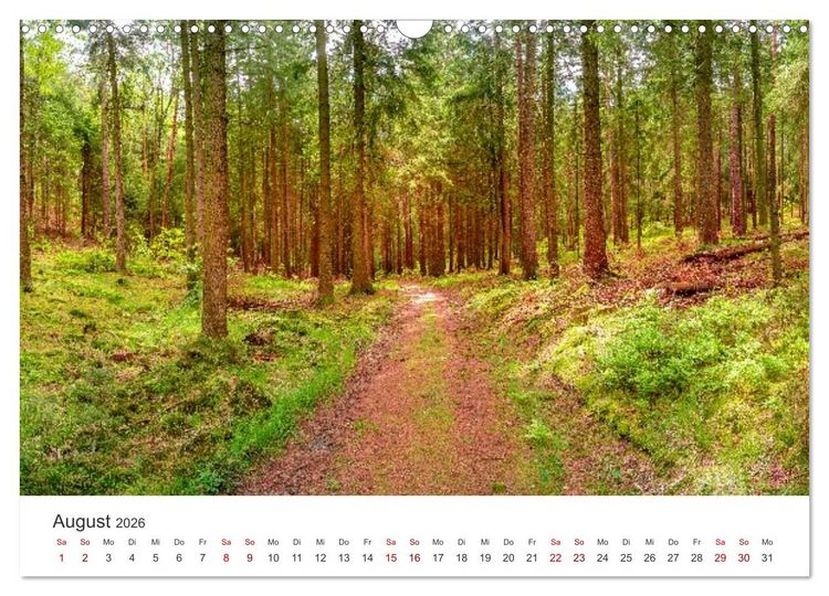 Produktbild: DEUTSCHLAND, S&auml;chsische Schweiz Nationalpark, M&auml;rchenwald (Wandkalender 2026 DIN A3 quer), CALVENDO Monatskalender