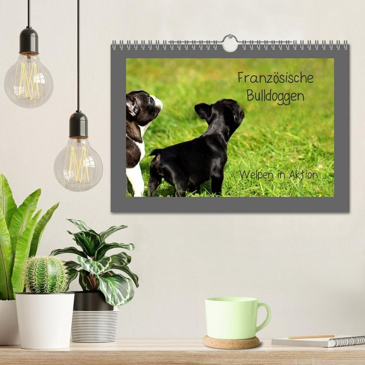 Produktbild: Franz&ouml;sische Bulldoggen (Wandkalender 2027 DIN A4 quer), CALVENDO Monatskalender