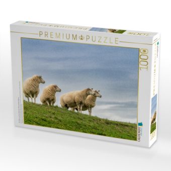 Produktbild: CALVENDO Puzzle Ein Motiv aus dem Kalender Naturerlebnis R&oslash;m&oslash; | 1000 Teile Lege-Gr&ouml;&szlig;e 64x48cm Foto-Puzzle f&uuml;r gl&uuml;ckliche Stunden
