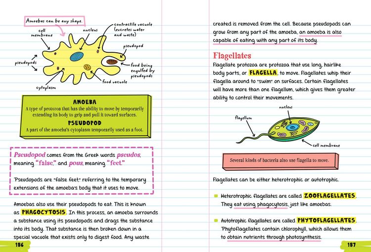 Produktbild: Everything You Need to Ace Biology in One Big Fat Notebook