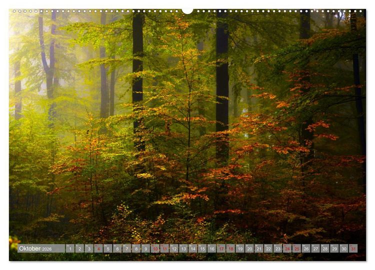 Produktbild: Wundersch&ouml;ne schw&auml;bische Alb (Wandkalender 2026 DIN A2 quer), CALVENDO Monatskalender