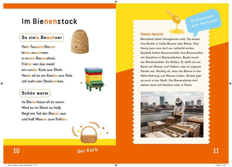 Produktbild: Dein Lesestart: Wei&szlig;t du schon alles &uuml;ber Bienen? Ab 1. Klasse