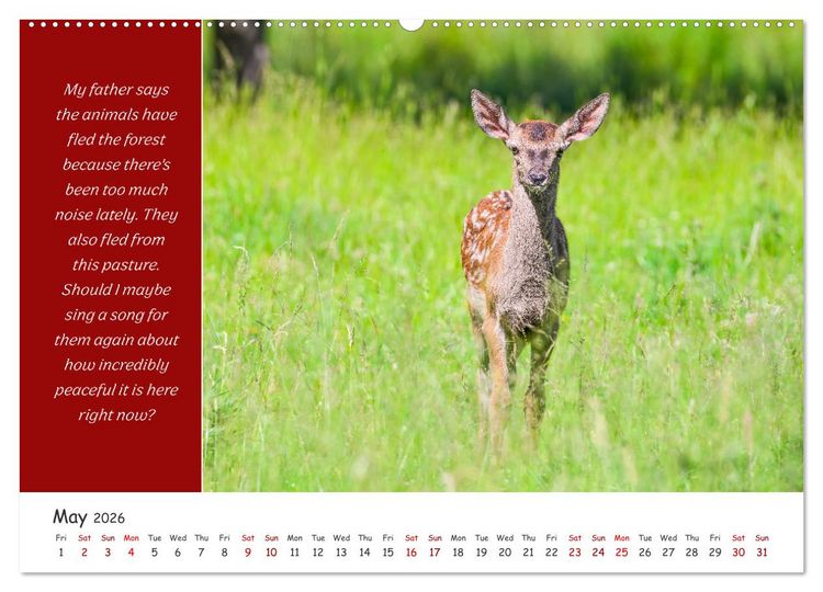 Produktbild: Animals like humour (High Quality Premium Wall Calendar 2026 DIN A2 landscape),CALVENDO 12 Month Wall Calendar