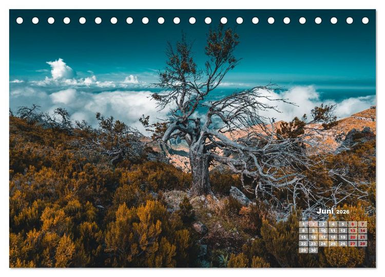 Produktbild: Trauminsel Madeira (Tischkalender 2026 DIN A5 quer), CALVENDO Monatskalender