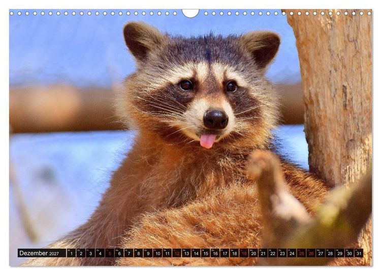 Produktbild: Abneigung und Ekel. Die unbeliebtesten Tiere (Wandkalender 2027 DIN A3 quer), CALVENDO Monatskalender
