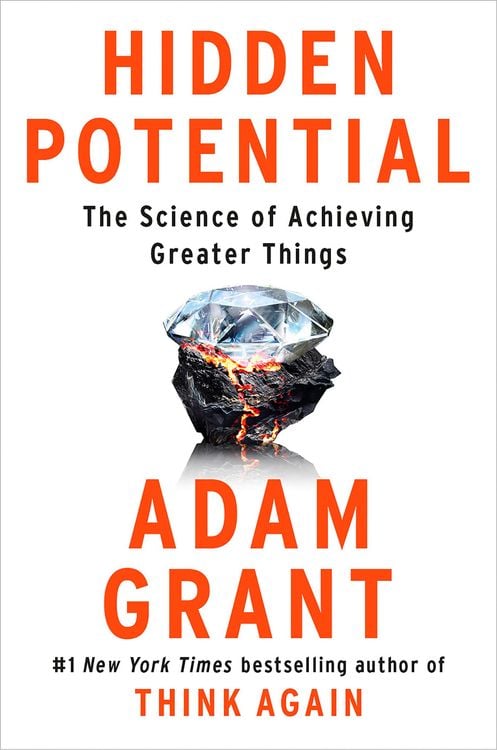 Produktbild: Hidden Potential