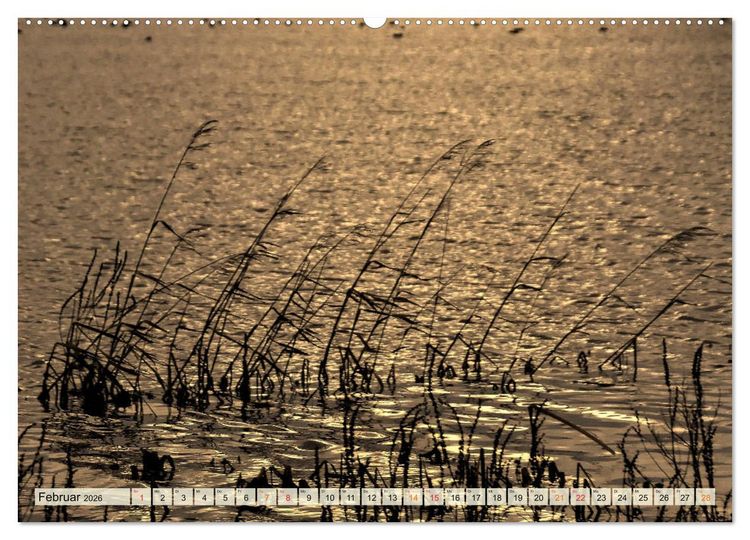 Produktbild: Landschaft an der W&uuml;mme (hochwertiger Premium Wandkalender 2026 DIN A2 quer), Kunstdruck in Hochglanz