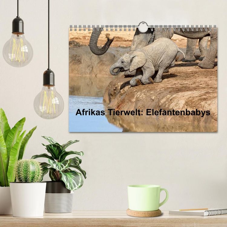 Produktbild: Afrikas Tierwelt: Elefantenbabys (Wandkalender 2027 DIN A4 quer), CALVENDO Monatskalender