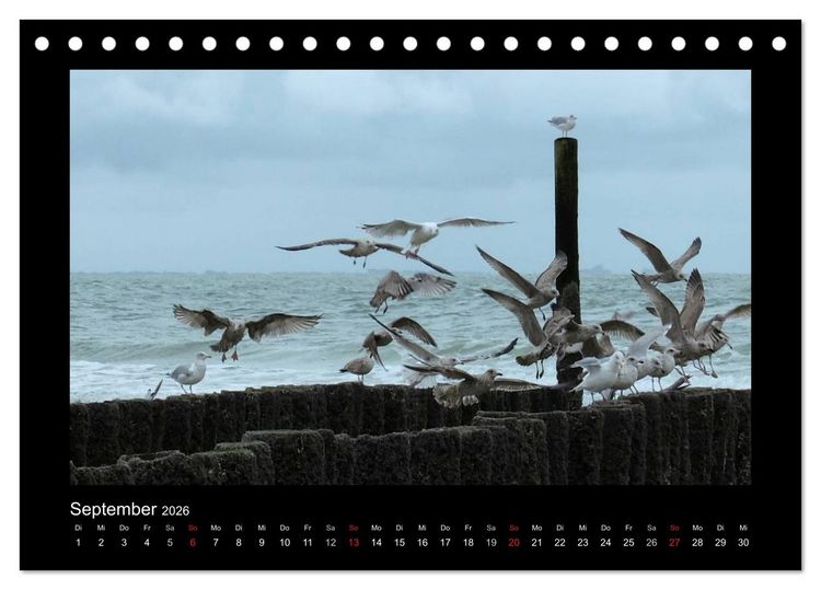 Produktbild: An der Nordsee (Tischkalender 2026 DIN A5 quer), CALVENDO Monatskalender