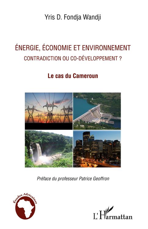 Produktbild: Energie, &eacute;conomie et environnement contradiction ou co-d&eacute;veloppement ?
