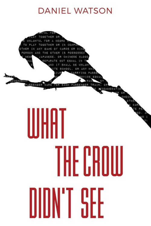 Produktbild: What the Crow Didn't See