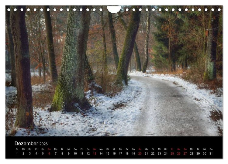 Produktbild: Waldkalender (Wandkalender 2026 DIN A4 quer), CALVENDO Monatskalender