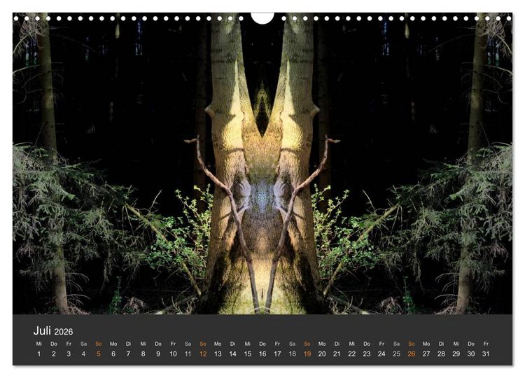 Produktbild: Spiegelwelten - Im Reich der Naturwesen (Wandkalender 2026 DIN A3 quer), CALVENDO Monatskalender