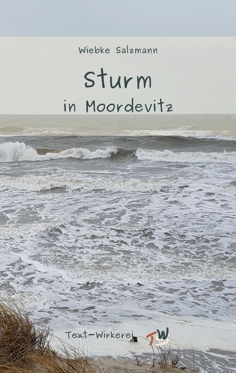 Produktbild: Sturm in Moordevitz