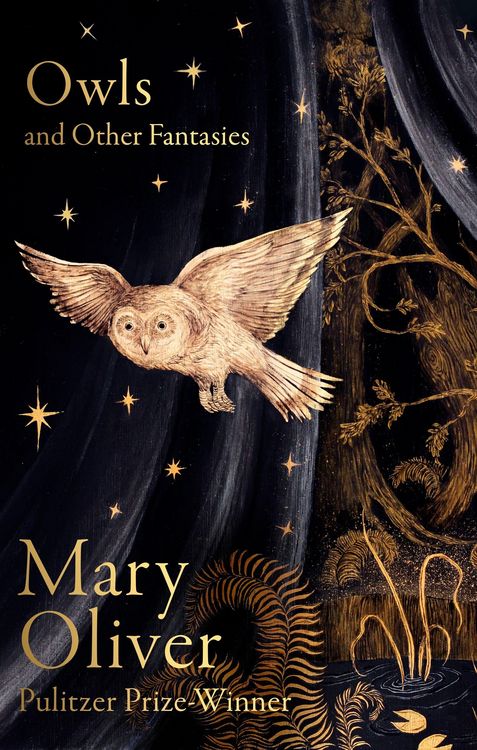 Produktbild: Owls and Other Fantasies
