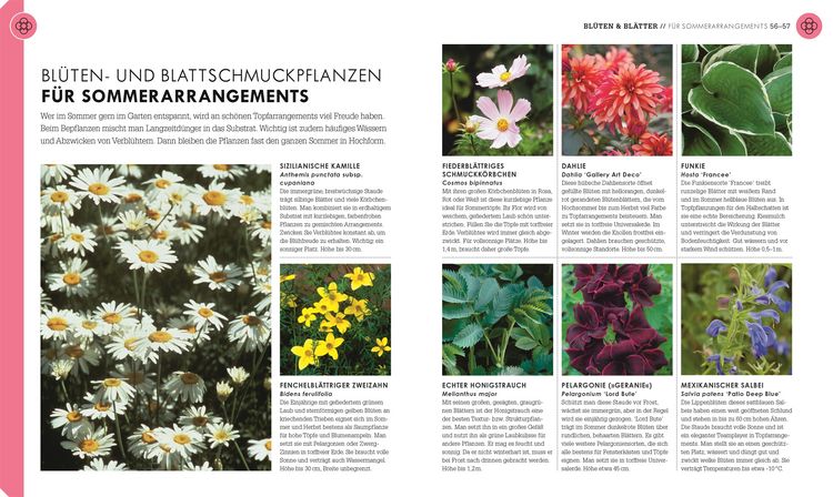 Produktbild: So geht Garten