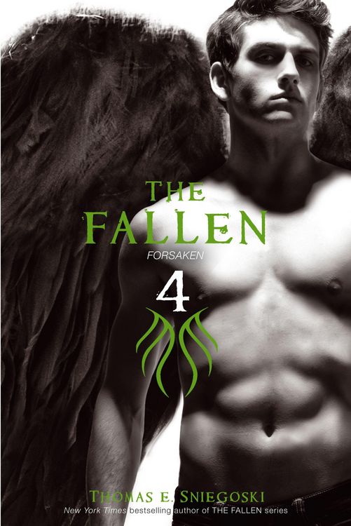 Produktbild: The Fallen 4
