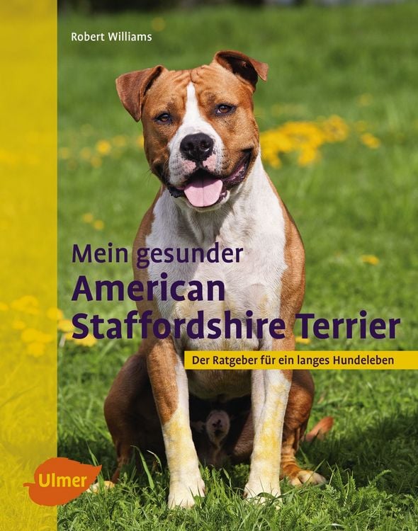 Produktbild: Mein gesunder American Staffordshire Terrier