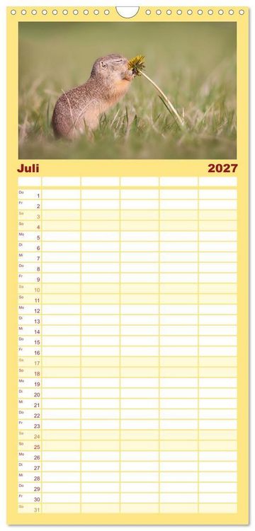 Produktbild: Familienplaner 2027 - Zauberhafte Ziesel mit 5 Spalten (Wandkalender, 21 x 45 cm) CALVENDO