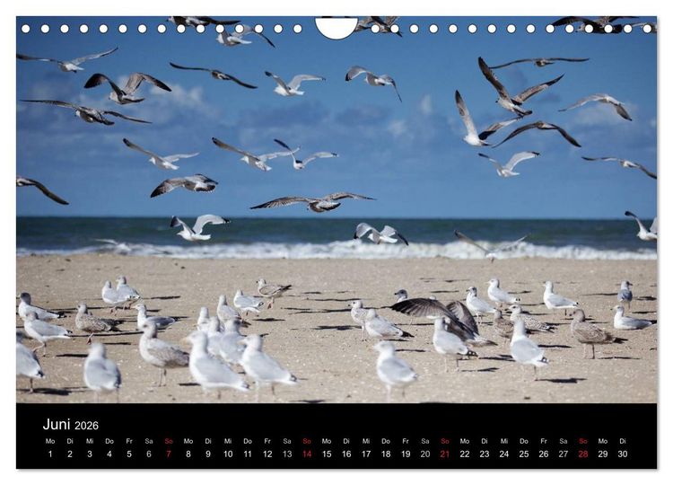 Produktbild: Frankreich Normandie (Wandkalender 2026 DIN A4 quer), CALVENDO Monatskalender