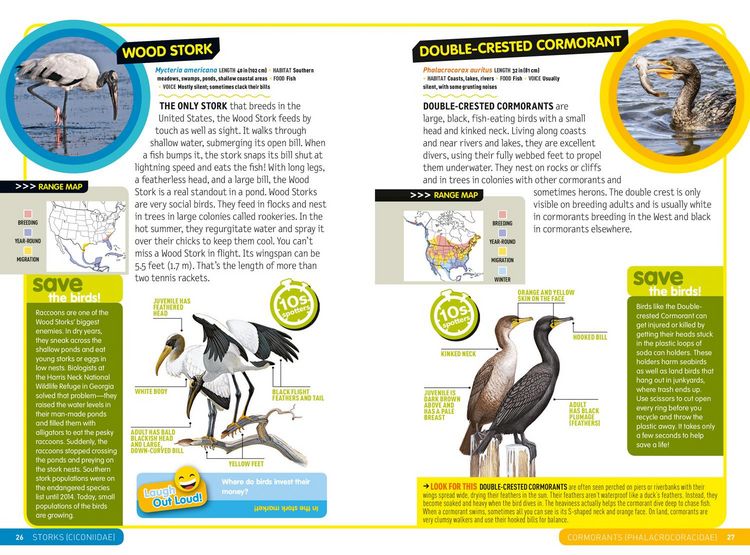 Produktbild: Ultimate Explorer Field Guide: Birds