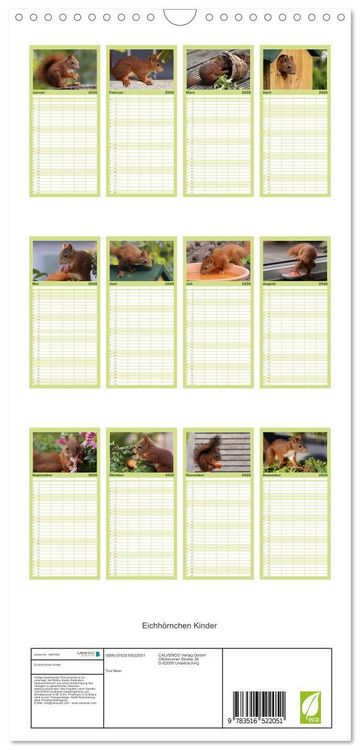 Produktbild: Familienplaner 2026 - Eichh&ouml;rnchen Kinder mit 5 Spalten (Wandkalender, 21 x 45 cm) CALVENDO