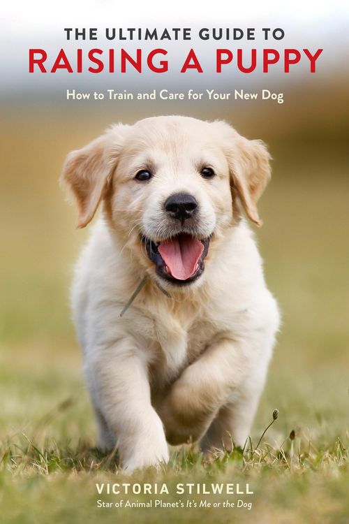 Produktbild: The Ultimate Guide to Raising a Puppy