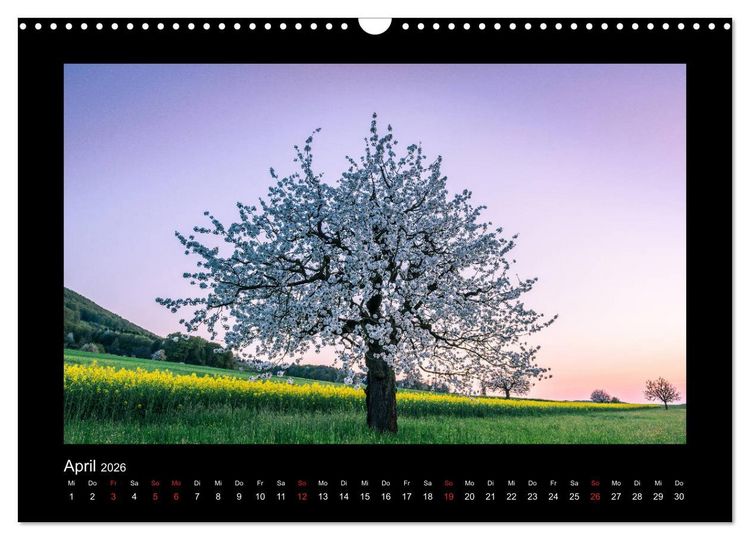 Produktbild: My Switzerland (Wandkalender 2026 DIN A3 quer), CALVENDO Monatskalender