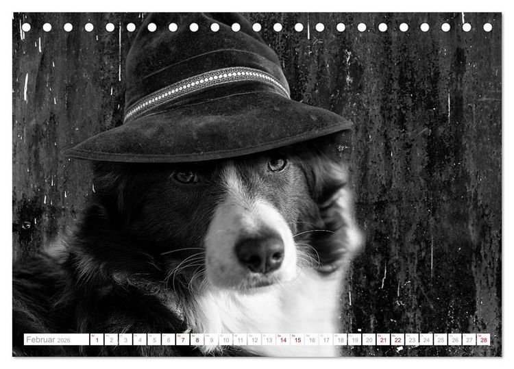 Produktbild: Hund tr&auml;gt Hut (Tischkalender 2026 DIN A5 quer), CALVENDO Monatskalender