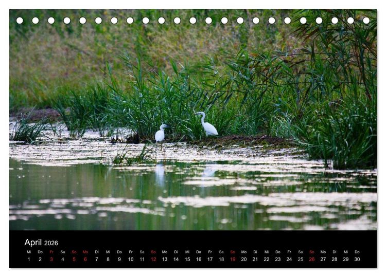 Produktbild: Donaudelta (Tischkalender 2026 DIN A5 quer), CALVENDO Monatskalender