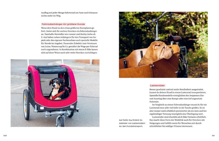 Produktbild: Oh Happy Dog!
