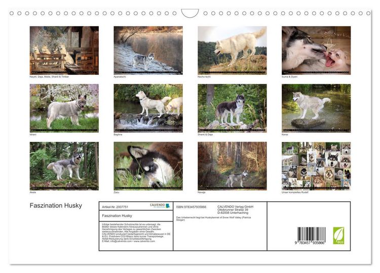 Produktbild: Faszination Husky (Wandkalender 2026 DIN A3 quer), CALVENDO Monatskalender