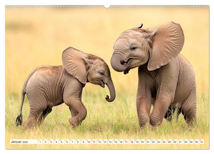 Produktbild: TIERKINDER Abenteuer Wildnis (hochwertiger Premium Wandkalender 2026 DIN A2 quer), Kunstdruck in Hochglanz