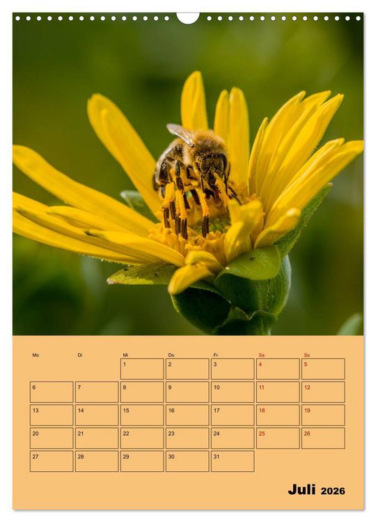 Produktbild: Die Biene und die Farbe gelb (Wandkalender 2026 DIN A3 hoch), CALVENDO Monatskalender