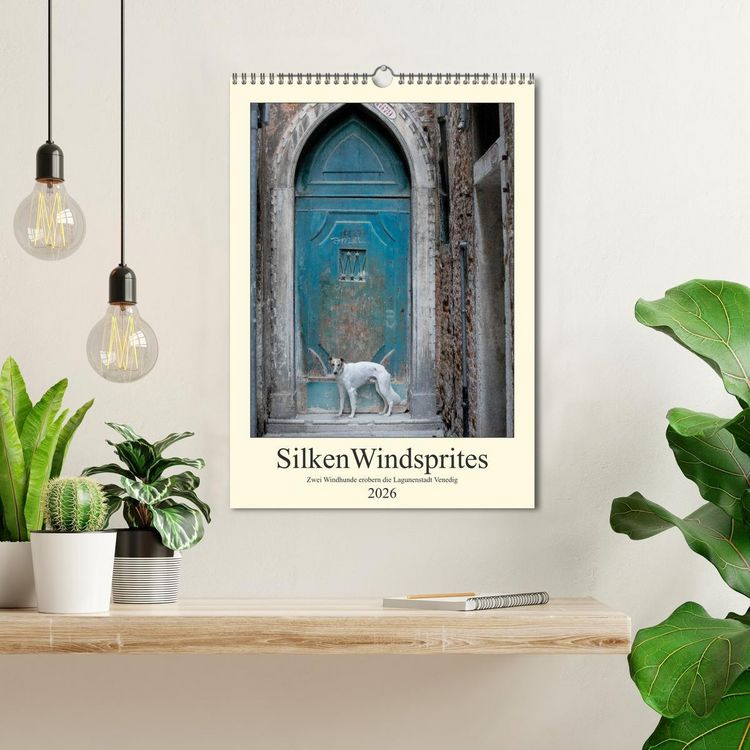 Produktbild: Silken Windsprites - Zwei Windhunde erobern die Lagunenstadt Venedig (Wandkalender 2026 DIN A3 hoch), CALVENDO Monatskalender