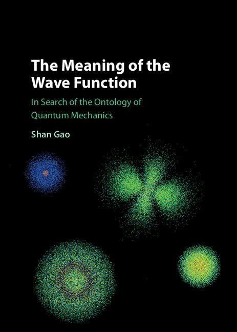 Produktbild: The Meaning of the Wave Function