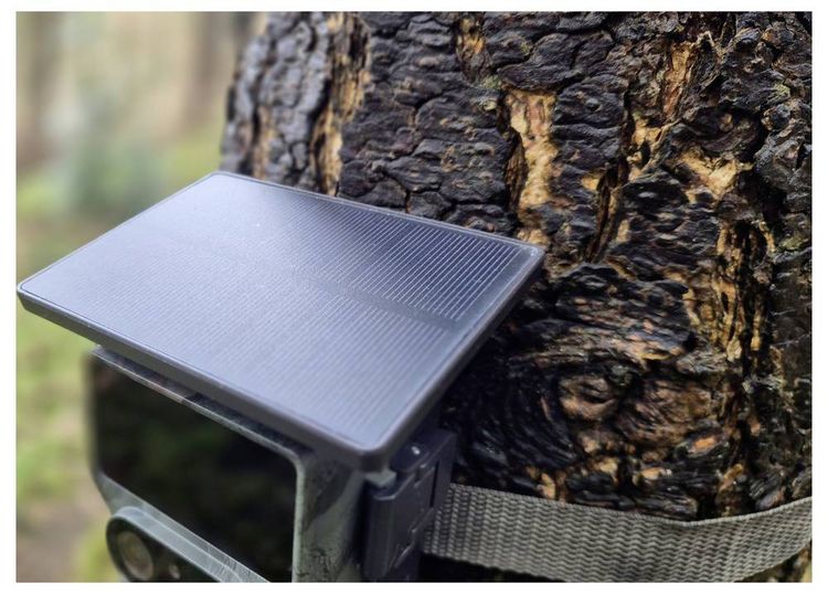 Produktbild: Braun Phototechnik Cam Black1321 Wildkamera WLAN Camouflage
