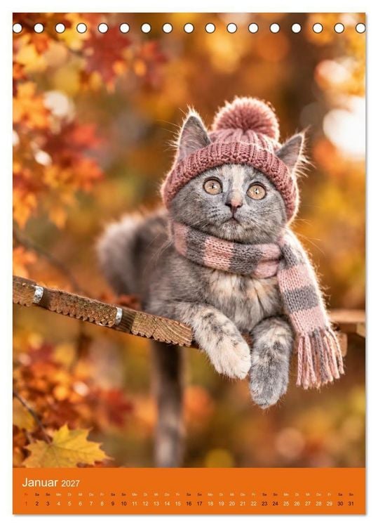 Produktbild: Goldener Herbst Eine tierische Fantasiewelt (Tischkalender 2027 DIN A5 hoch), CALVENDO Monatskalender