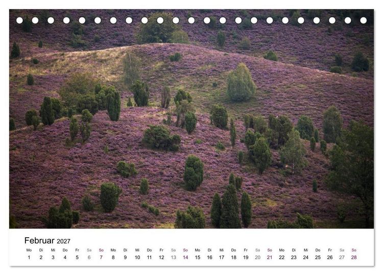 Produktbild: L&uuml;neburger Heide (Tischkalender 2027 DIN A5 quer), CALVENDO Monatskalender