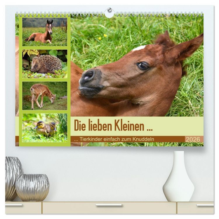 Produktbild: Die lieben Kleinen ... Tierkinder einfach zum Knuddeln (hochwertiger Premium Wandkalender 2026 DIN A2 quer), Kunstdruck in Hochglanz