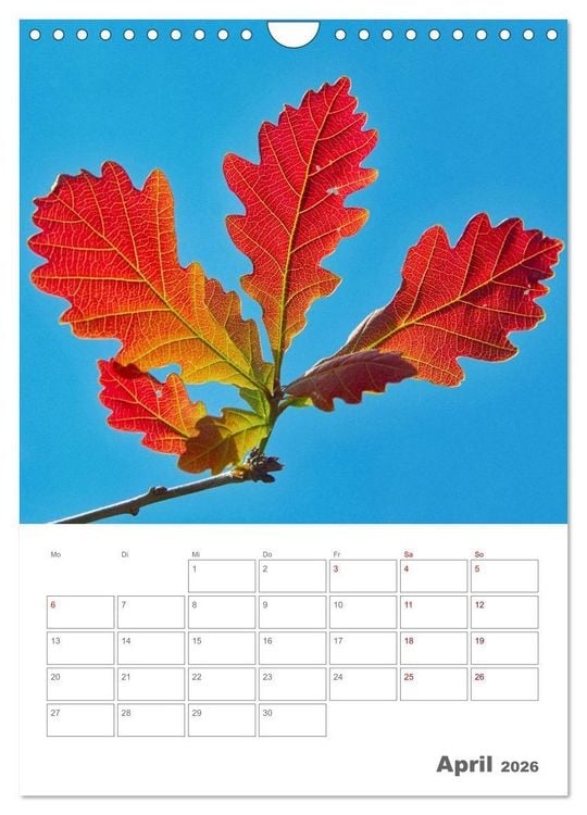 Produktbild: Planen mit dem Symbol der inneren St&auml;rke (Wandkalender 2026 DIN A4 hoch), CALVENDO Monatskalender