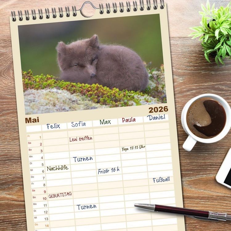 Produktbild: Familienplaner 2026 - Polarfuchs-Welpen mit 5 Spalten (Wandkalender, 21 x 45 cm) CALVENDO