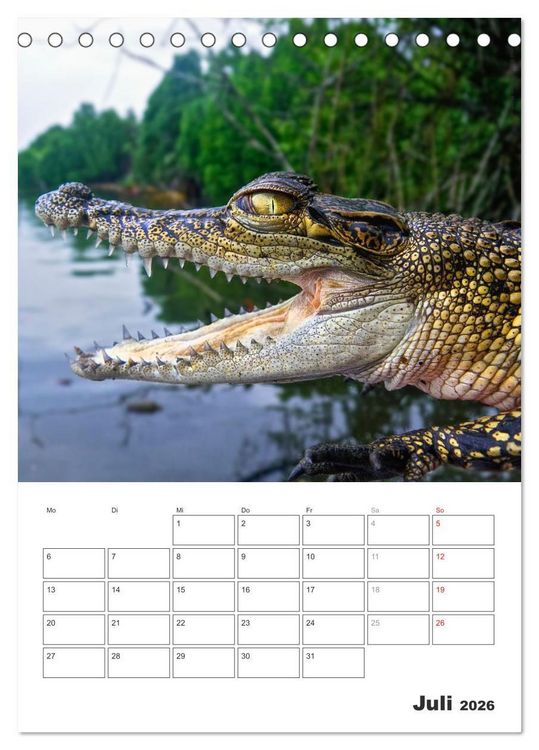 Produktbild: Sri Lanka 2026 - Exotisches Paradies - Jahresplaner (Tischkalender 2026 DIN A5 hoch), CALVENDO Monatskalender