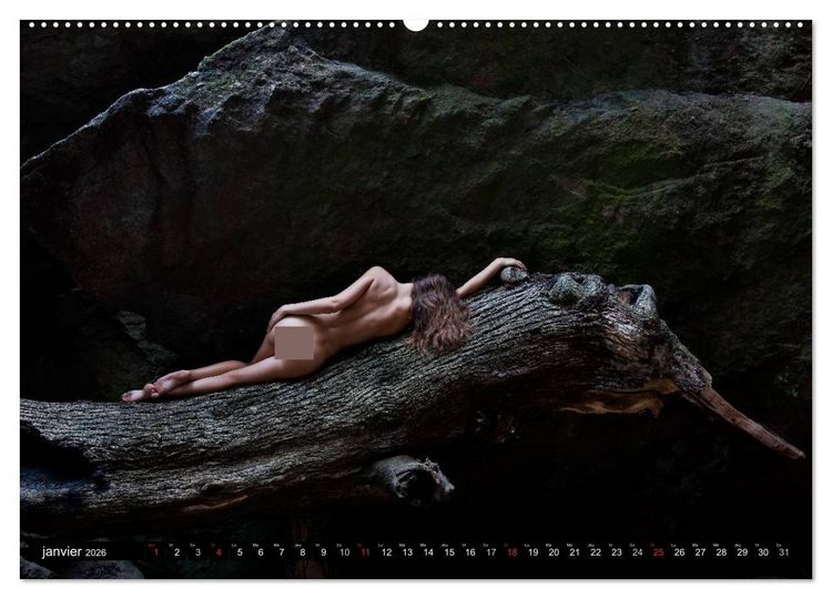 Produktbild: Saint-Tropez Les paysages et le nu (Calendrier mural 2026 DIN A2 vertical) calendrier de bureau