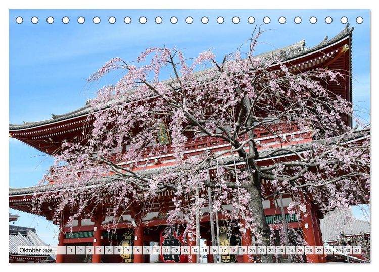 Produktbild: Die Kirschbl&uuml;te in Japan (Tischkalender 2026 DIN A5 quer), CALVENDO Monatskalender